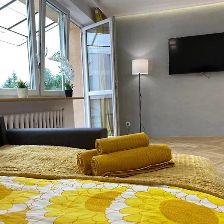 Apartment Sunflower Studio Skawinska *