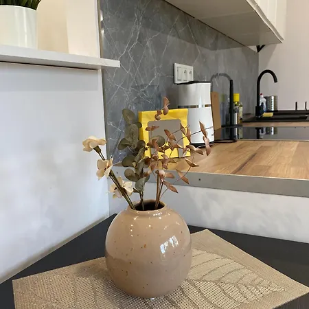 Sunflower Studio Skawinska Апартаменты *